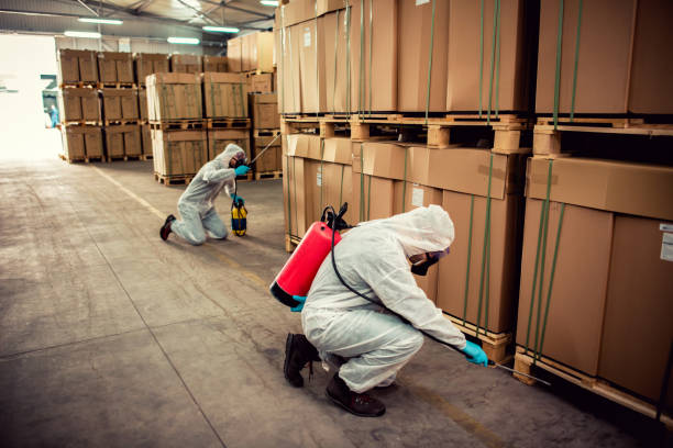 Best Termite Control Services  in Burlington, KS