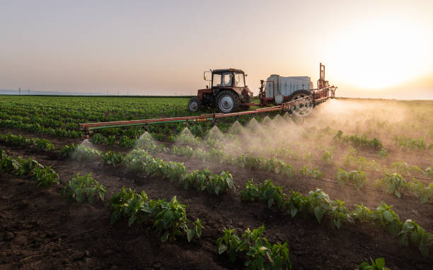 Best Commercial Pest Control Services  in Burlington, KS