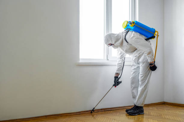 Best Emergency Pest Control  in Burlington, KS