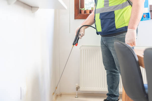 Best Flea Control Services  in Burlington, KS