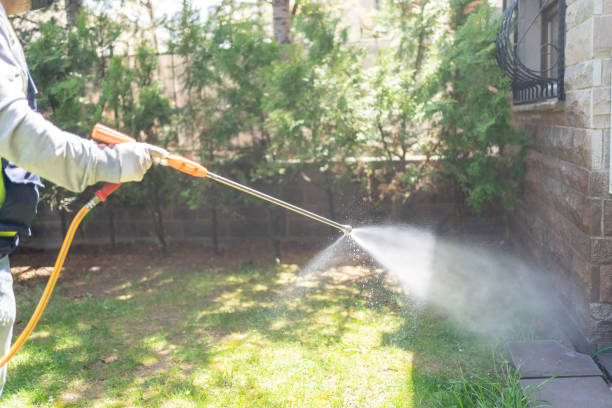 Best Pest Removal Services  in Burlington, KS