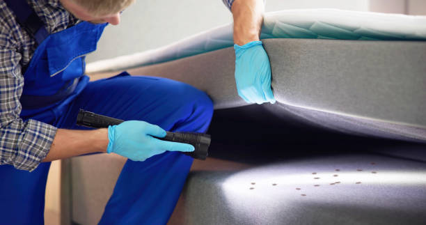Trusted Burlington, KS Pest Control Experts