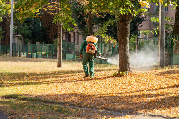 Best Exterminator Services  in Burlington, KS