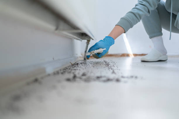 Best Affordable Pest Control Services  in Burlington, KS