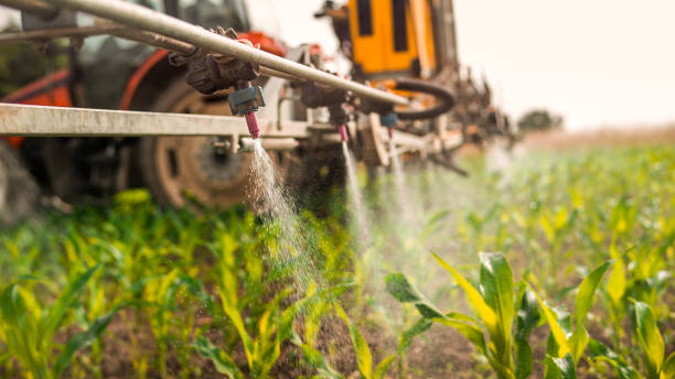 Best Best Pest Control Companies  in Burlington, KS